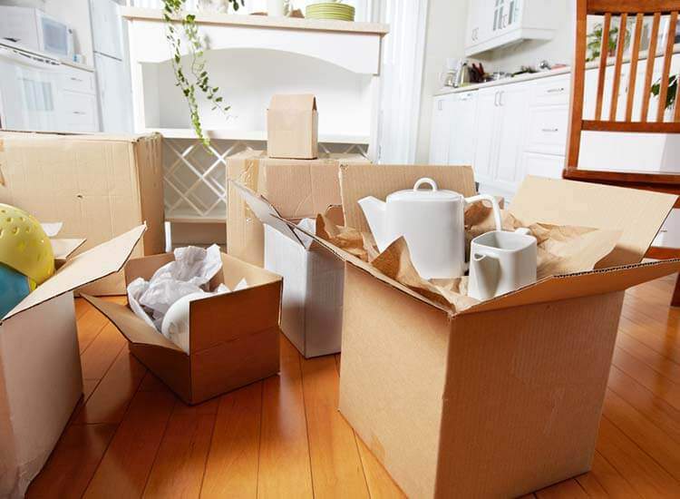 movers packers in darbhanga