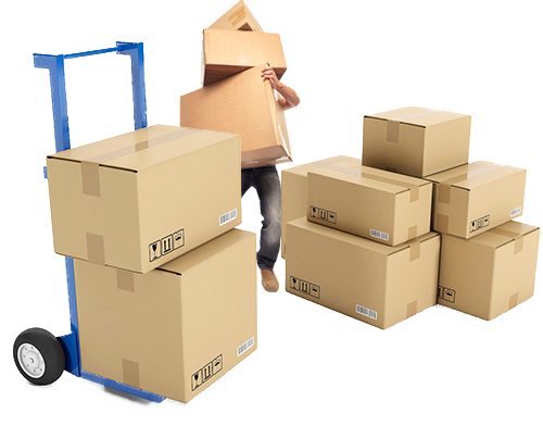 movers and packers in purnea