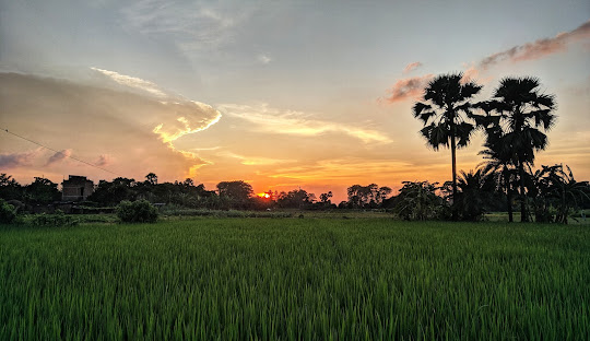 Best Packers and Movers in Samastipur