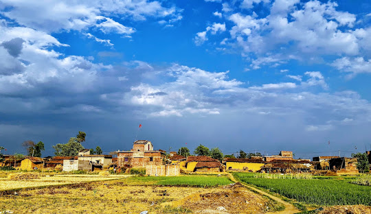  Best Packers and Movers in Jamui