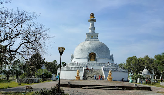  Best Packers and Movers in Vaishali