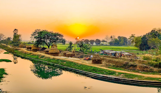  Best Packers and Movers in Jehanabad