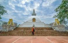  Best Packers and Movers in Rajgir